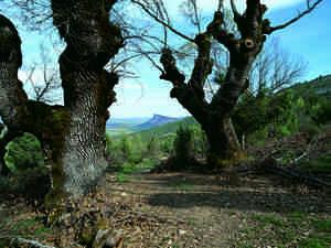 Sierra de Mamblas